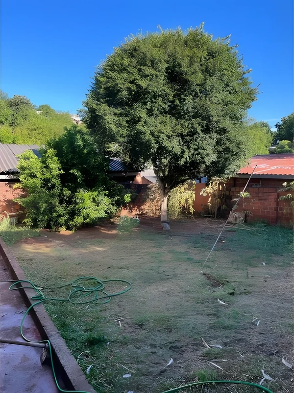 Casa com 3 dormitórios à venda, 128 m² por R$ 280.000,00 - Sulina - Santa Rosa/RS — foto 25 de 28