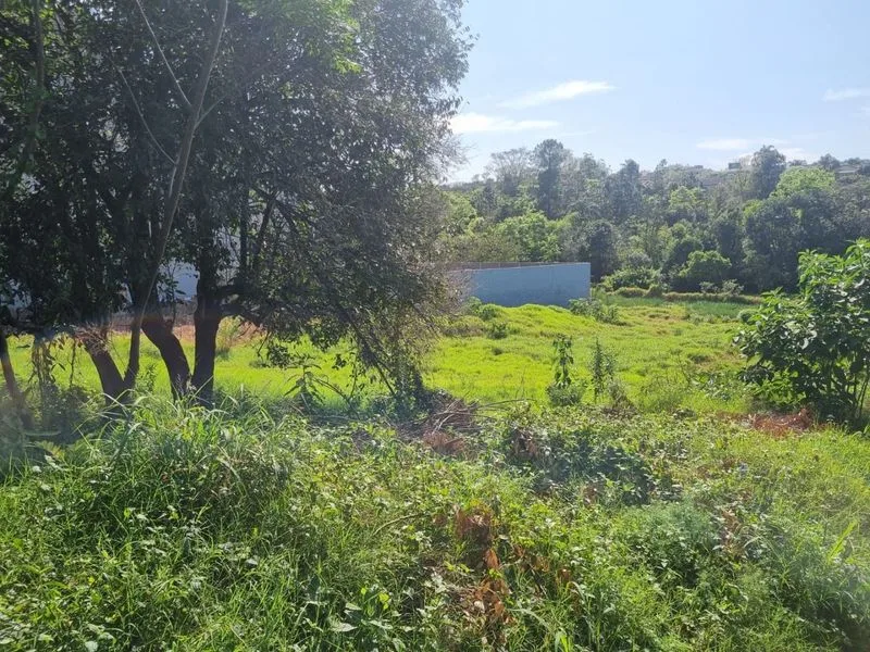 Terreno comercial de esquina no Centro de Santa Rosa — foto 3