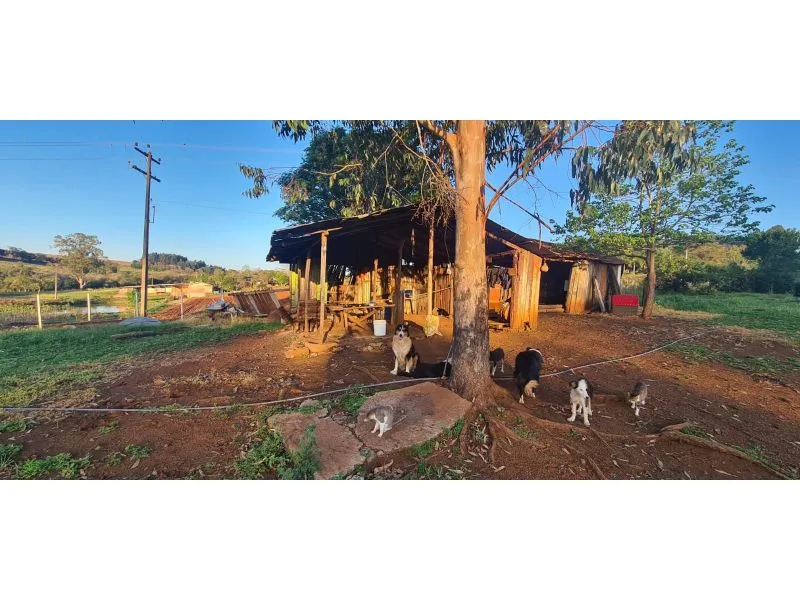 Chácara no Interior com Casa de 3 Dormitórios — foto 8
