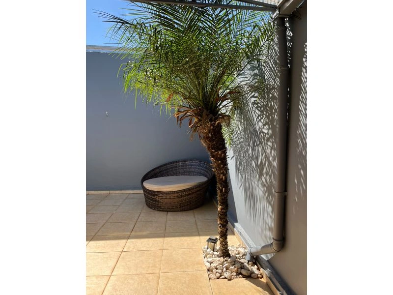? A CASA QUE VOCÊ PROCURA ACABOU DE ENTRAR À VENDA! — foto 35 de 40
