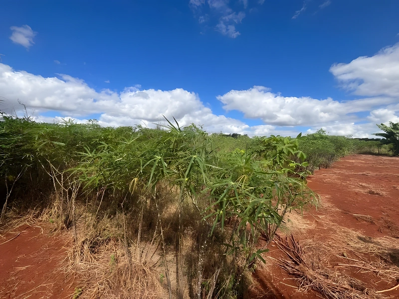 Terreno à venda por R$ 212.000 - Km 5 - Santa Rosa/Rio Grande do Sul — foto 7 de 8
