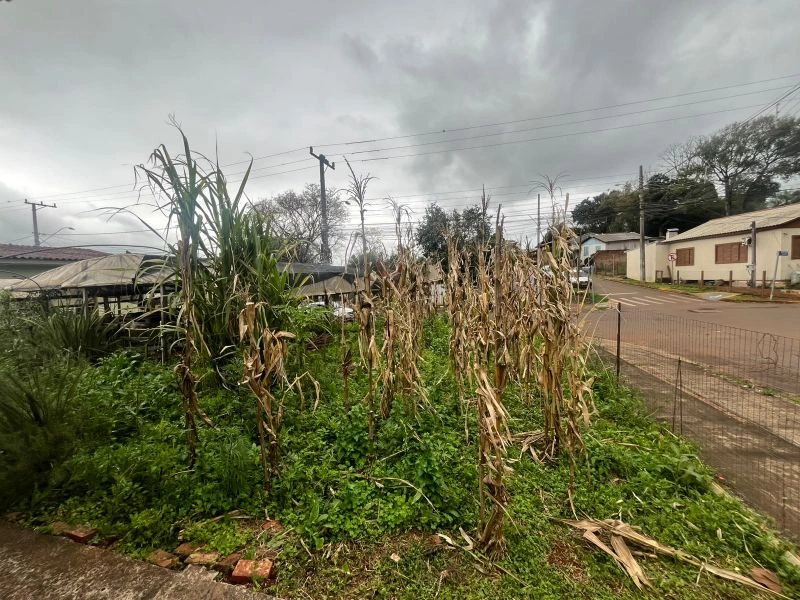 Casa de esquina no bairro São Francisco com 396,50 m² de terreno — foto 26 de 27