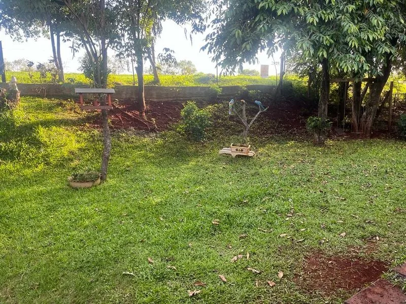 Casa com 4 quartos em Guia Lopes — foto 5