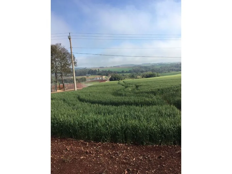 Terreno de 25 hectares no interior de Santa Rosa — foto 4
