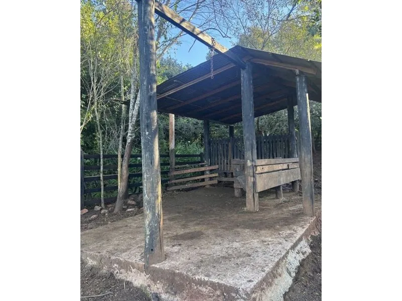 Chácara no Lajeado Bonito, Santa Rosa — 2.400 m² — foto 3