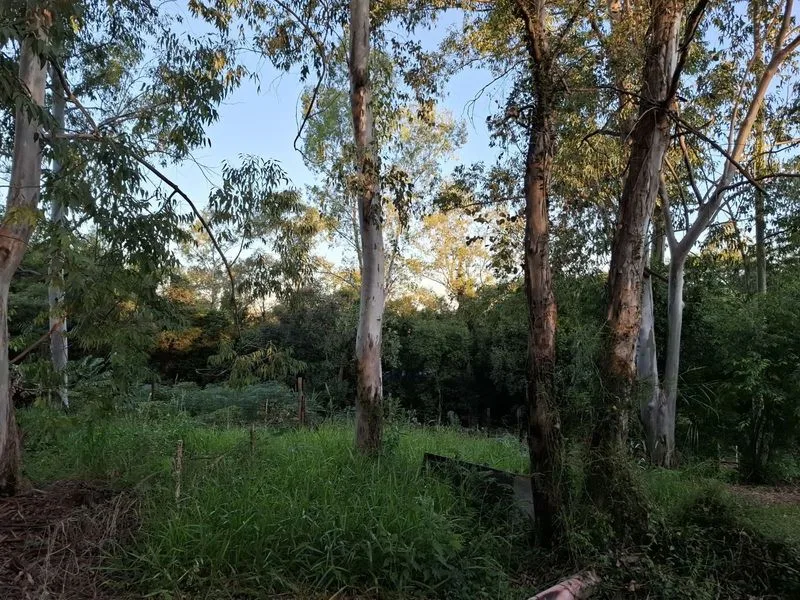 Chácara em Bela União com casa e infraestrutura rural — foto 8