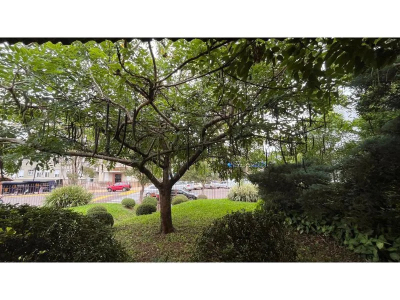 Casa com potencial comercial no Centro de Santa Rosa — foto 4