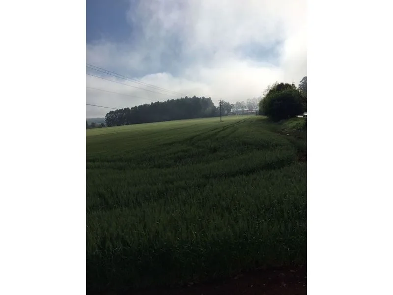 Terreno de 25 hectares no interior de Santa Rosa — foto 2