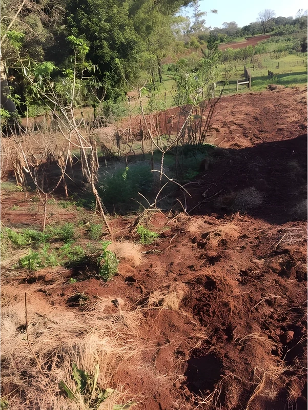 Terreno no Planalto, Santa Rosa
