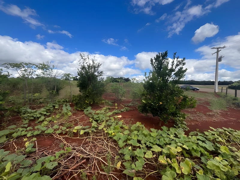 Terreno à venda por R$ 212.000 - Km 5 - Santa Rosa/Rio Grande do Sul — foto 5 de 8