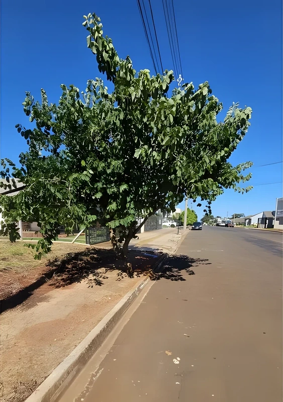 Terreno à venda, 360 m² por R$ 250.000,00 - Timbaúva - Santa Rosa/RS — foto 3 de 3