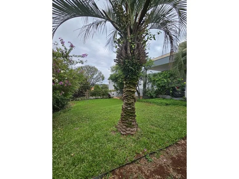 Casa com potencial de ampliação no Centro de Santa Rosa — foto 13