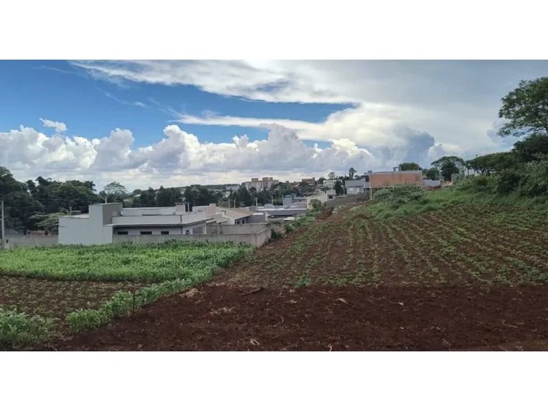 Terreno no Loteamento Laufer 2, Timbaúva — foto 1