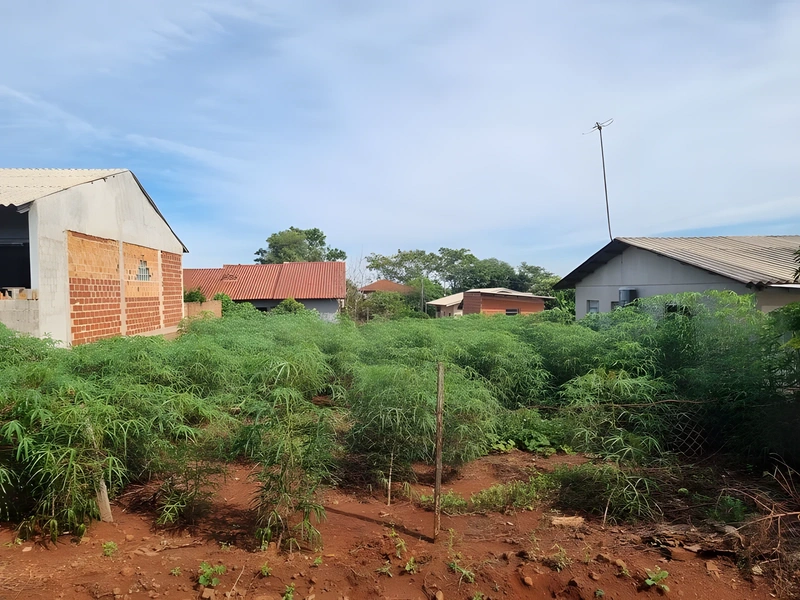 Terreno em Guia Lopes
