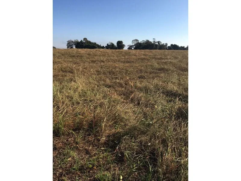 Terreno 15 hectares frente para RS 344, São Francisco — foto 3
