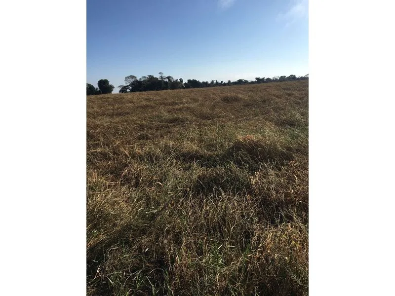 Terreno 15 hectares frente para RS 344, São Francisco — foto 4