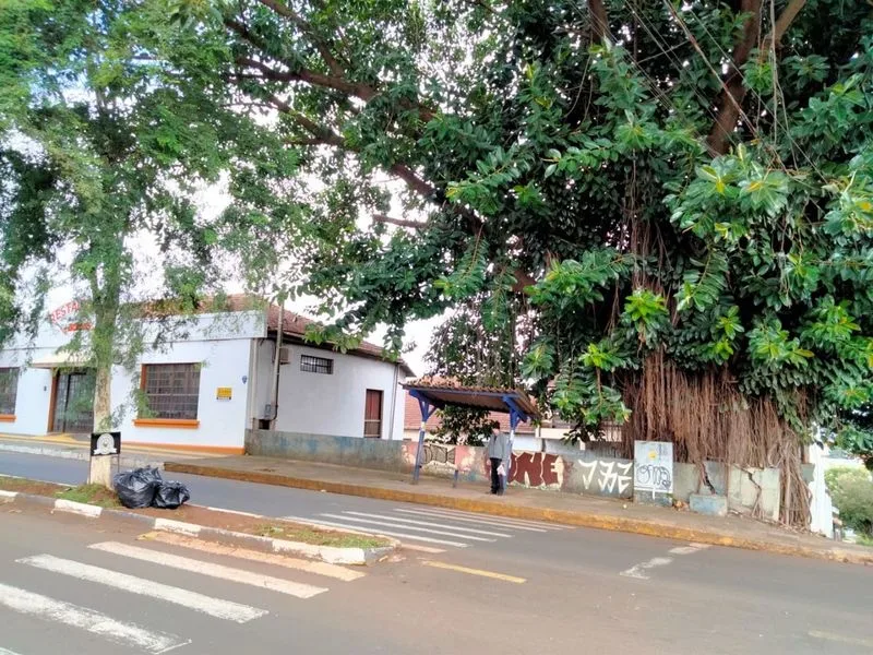 Conjunto comercial de esquina no Centro, Santa Rosa — foto 2
