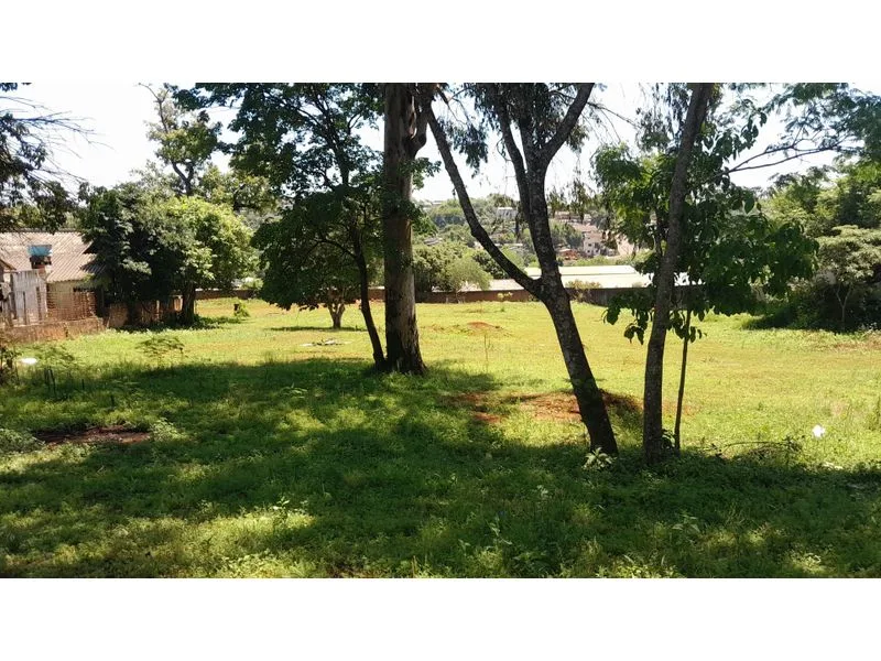 Terreno em Sulina, Avenida Borges de Medeiros — foto 8