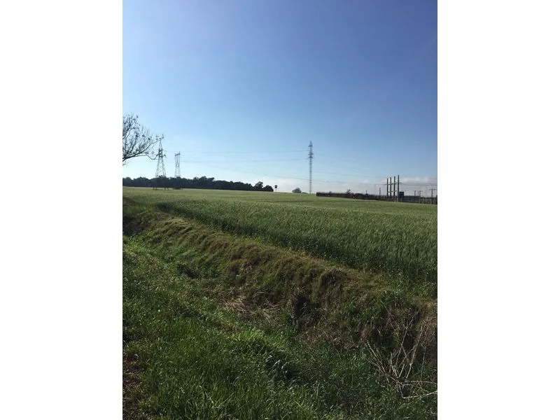 Terreno de 25 hectares no interior de Santa Rosa — foto 1