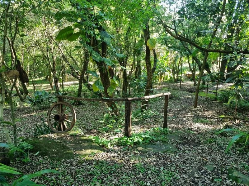 Chácara à venda em Glória, Santa Rosa — foto 6