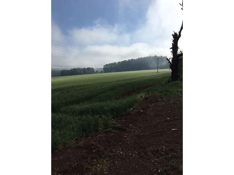 Terreno de 25 hectares no interior de Santa Rosa — foto 3