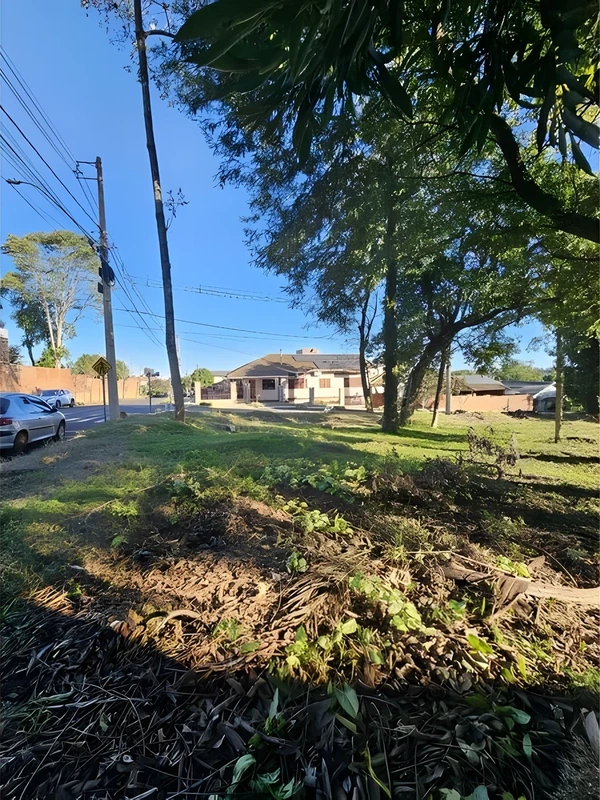 Terreno à venda, 720 m² por R$ 520.000 - Glória - Santa Rosa/RS — foto 4 de 5