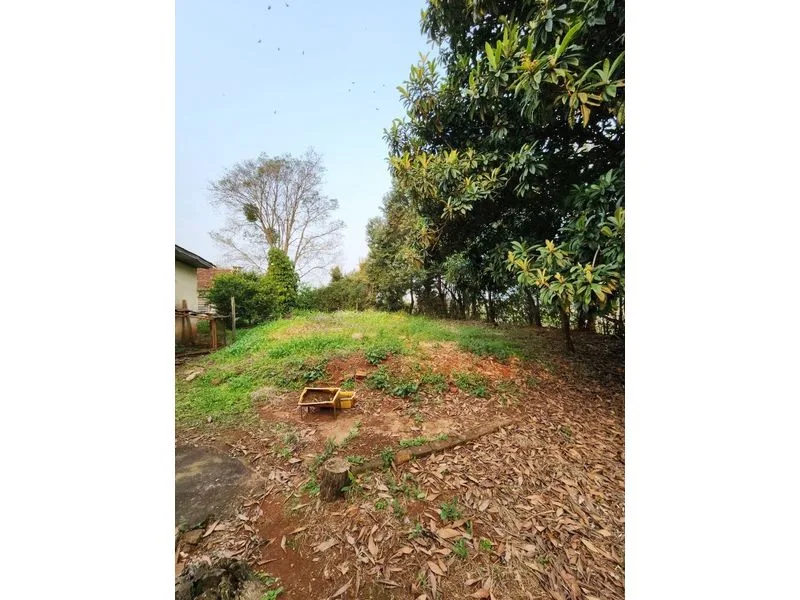 Terreno no Centro de Santa Rosa, 1.400 m² — foto 4