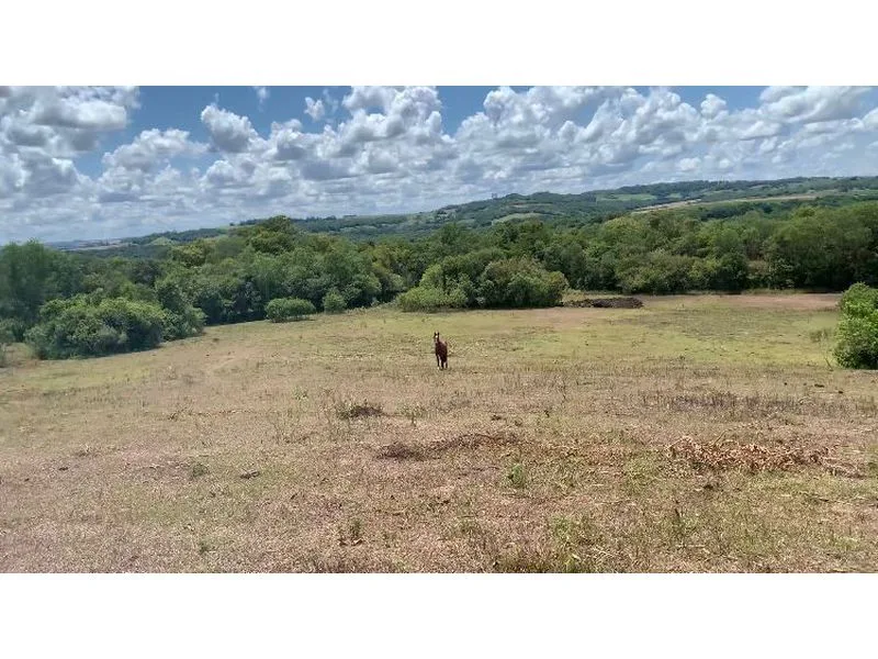 Terreno de 11 hectares na Linha Alecrim, Santa Rosa — foto 3