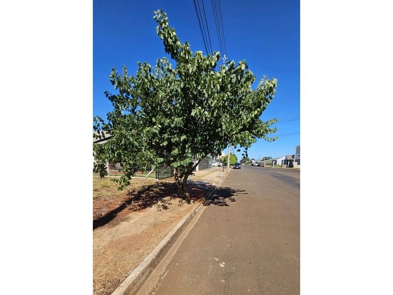 Terreno à venda, 360 m² por R$ 250.000,00 - Timbaúva - Santa Rosa/RS — foto 3 de 3