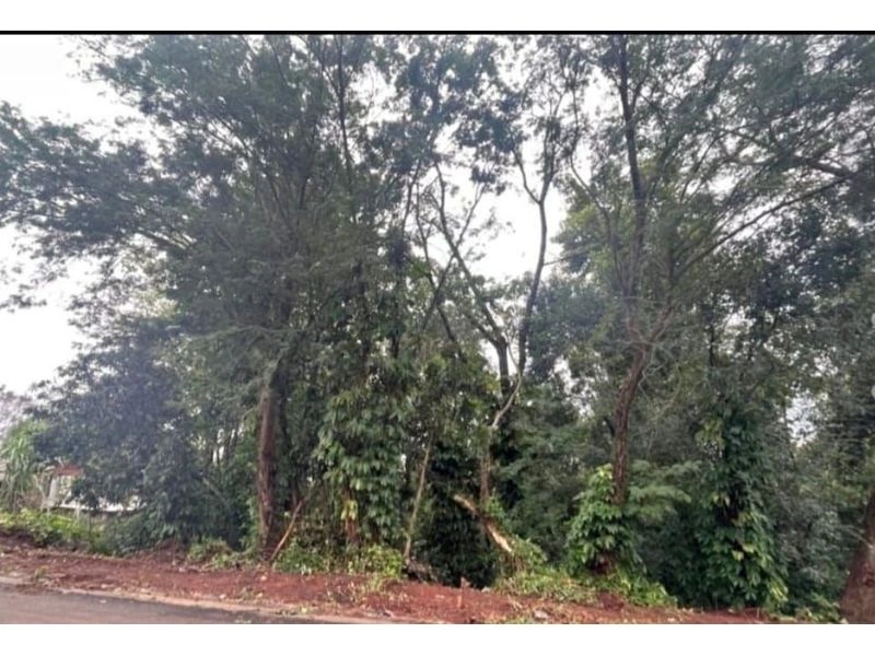 Terreno a venda no bairro gloria com 2290 m² — foto 2 de 2