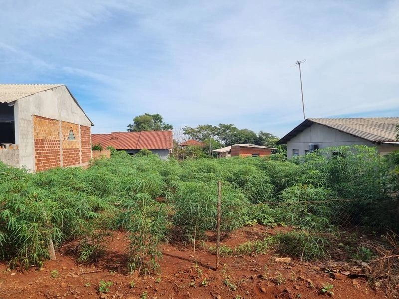 Terreno em Guia Lopes