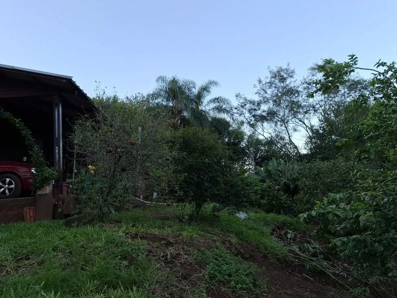 Chácara em Bela União com casa e infraestrutura rural — foto 14