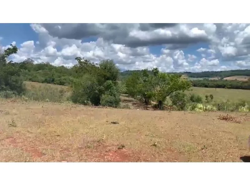 Terreno de 11 hectares na Linha Alecrim, Santa Rosa — foto 4