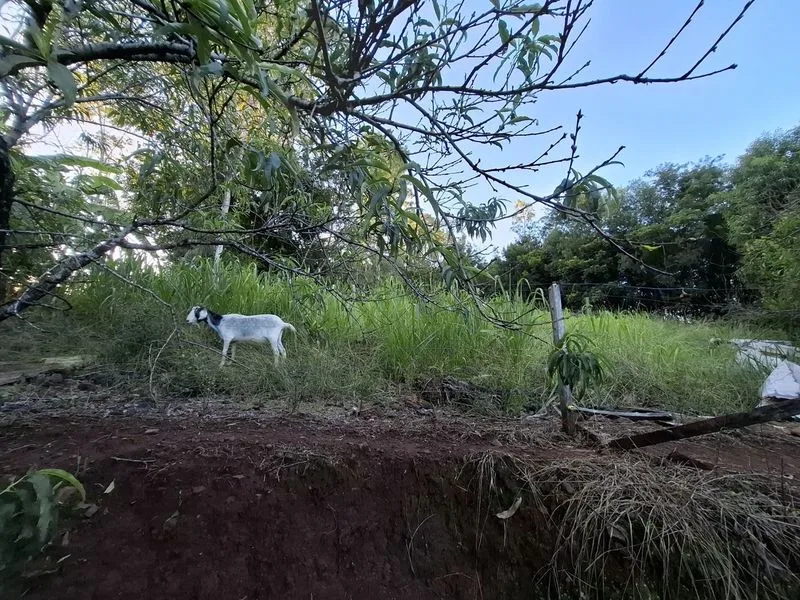 Chácara em Bela União com casa e infraestrutura rural — foto 11