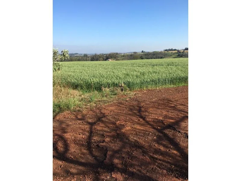 Terreno de 25 hectares em posição estratégica, Santa Rosa — foto 2