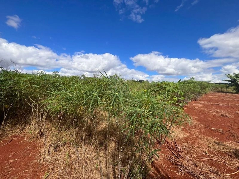 Terreno à venda por R$ 212.000 - Km 5 - Santa Rosa/Rio Grande do Sul — foto 7 de 8