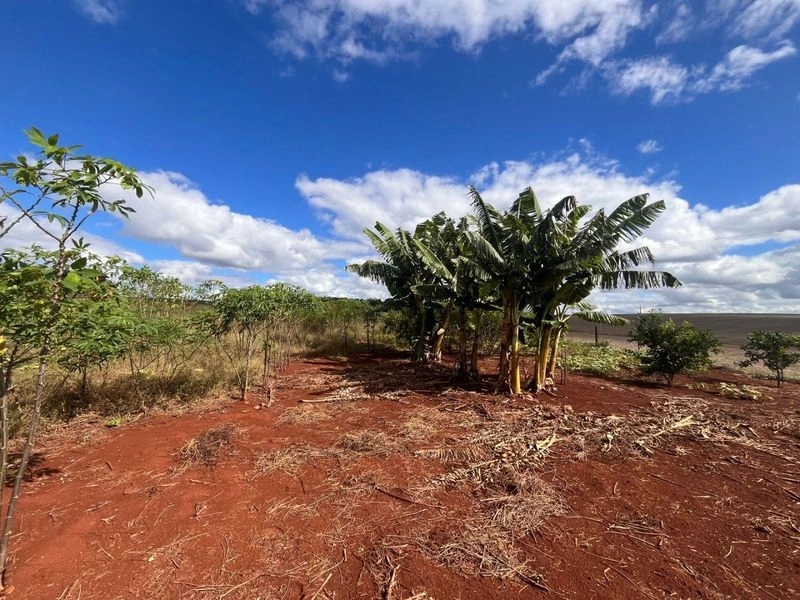 Terreno à venda por R$ 212.000 - Km 5 - Santa Rosa/Rio Grande do Sul — foto 8 de 8
