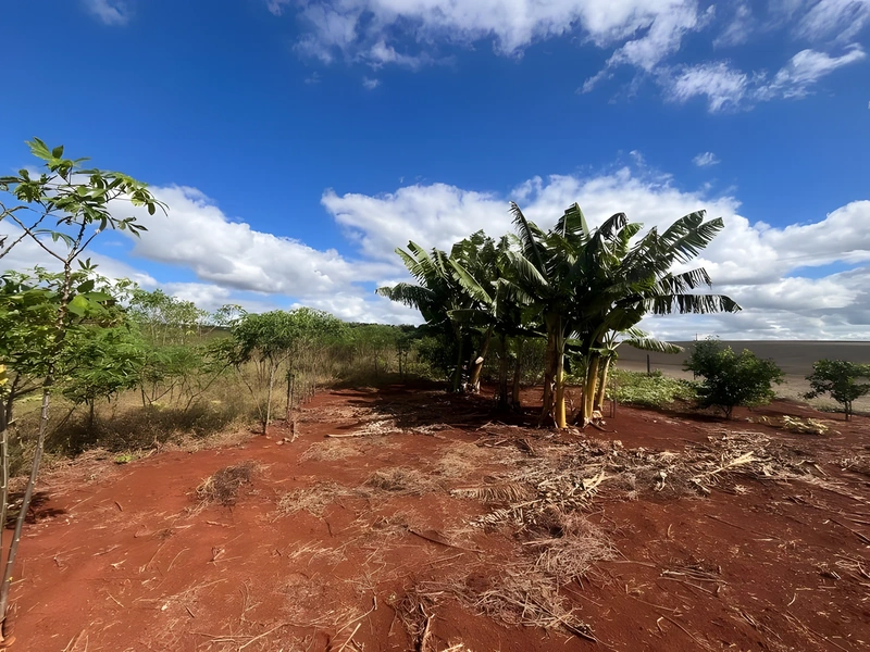 Terreno à venda por R$ 212.000 - Km 5 - Santa Rosa/Rio Grande do Sul — foto 8 de 8