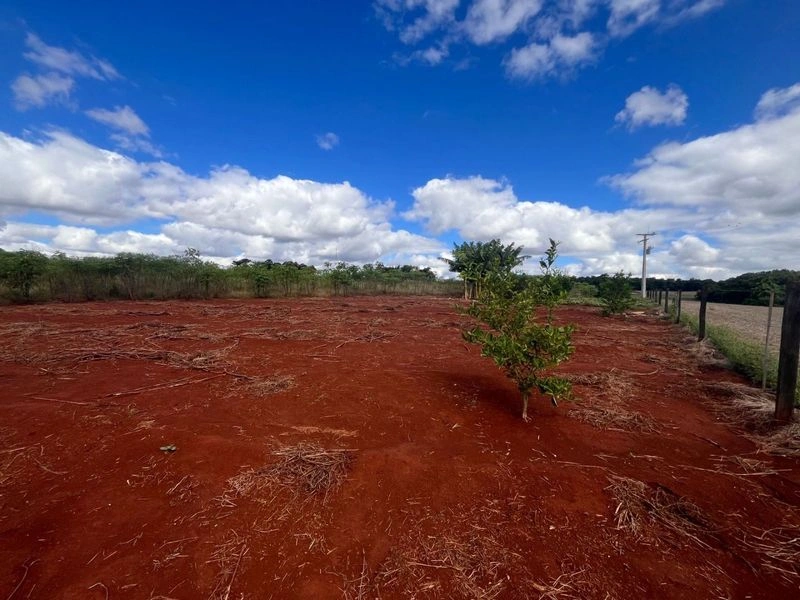 Terreno à venda por R$ 212.000 - Km 5 - Santa Rosa/Rio Grande do Sul — foto 6 de 8