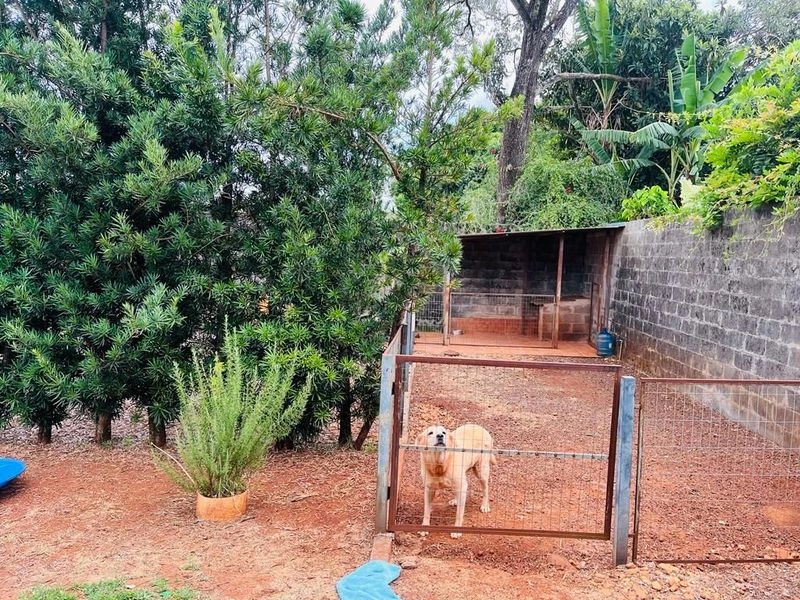 Casa com 3 dormitórios à venda, 307 m² por R$ 1.350.000,00 - Cruzeiro - Santa Rosa/RS — foto 12 de 13