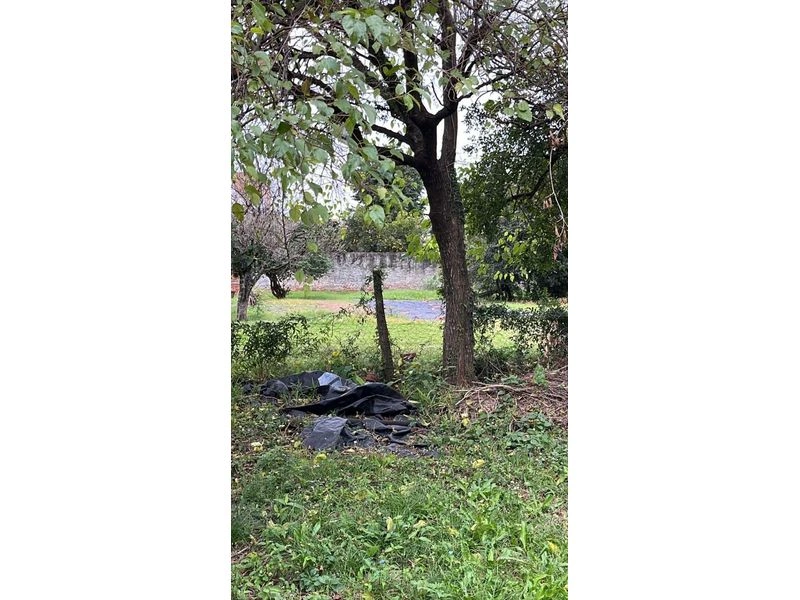 Terreno à venda - Centro - Santa Rosa/RS — foto 5 de 7