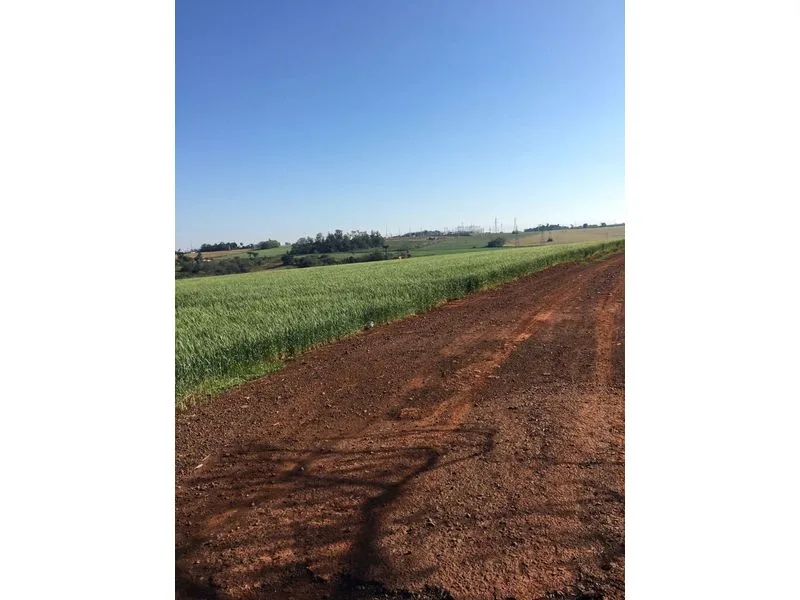 Terreno de 25 hectares em posição estratégica, Santa Rosa — foto 4