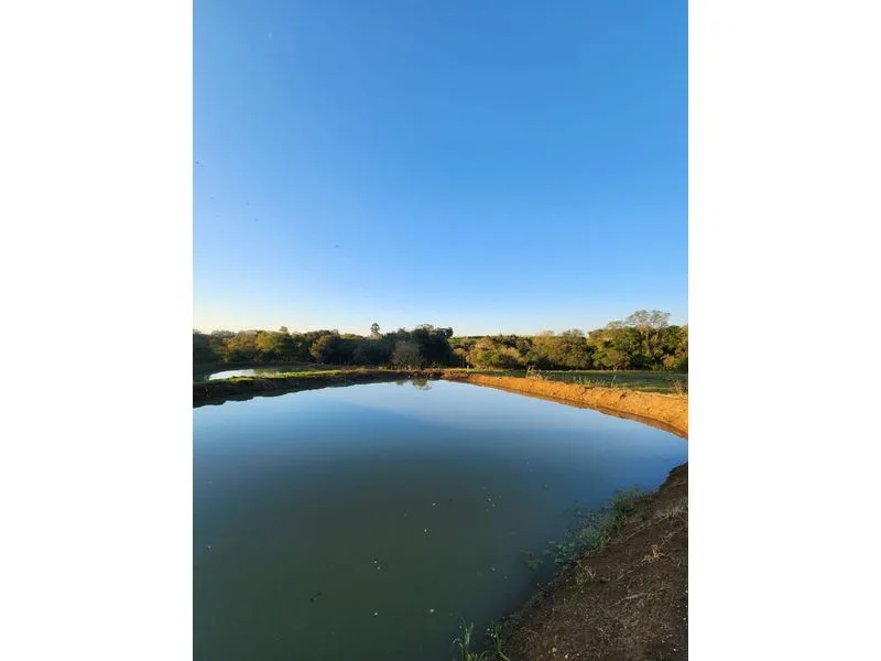 Chácara na Auxiliadora com 20 mil m² e infraestrutura completa — foto 8
