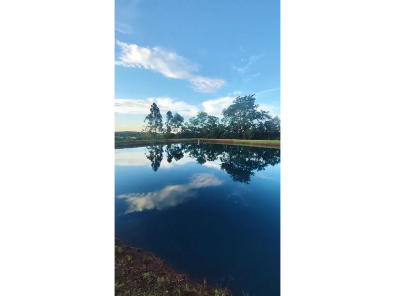 Chácara com 4 dormitórios e estrutura de lazer, Auxiliadora — foto 36