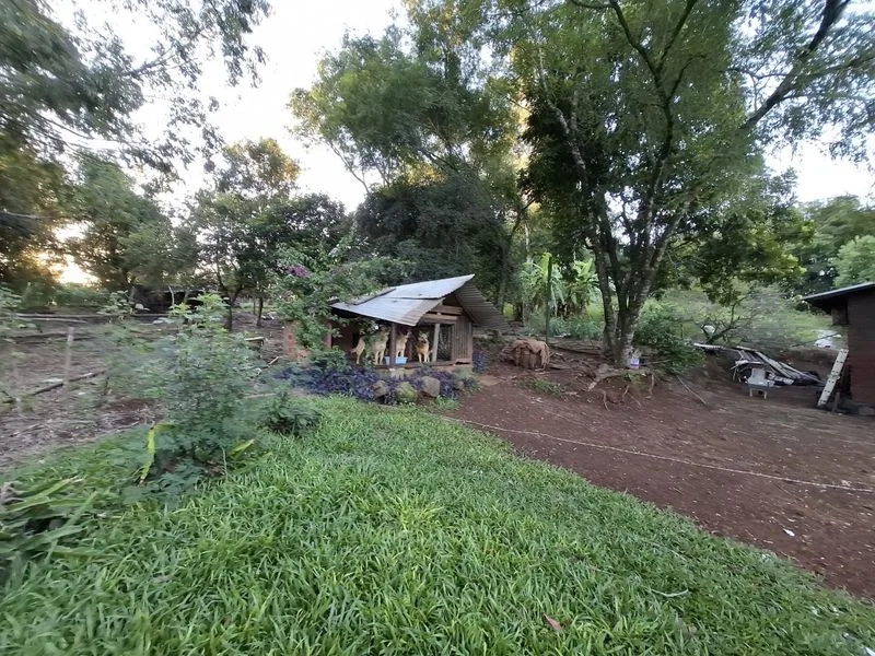Chácara em Bela União com casa e infraestrutura rural — foto 10