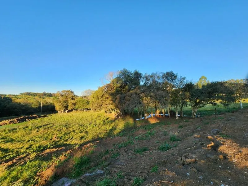 Chácara na Auxiliadora com 20 mil m² e infraestrutura completa — foto 9