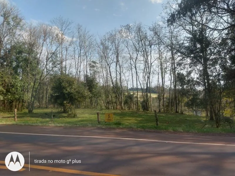 Terreno de 23 mil m² em São Francisco, Santa Rosa — foto 3