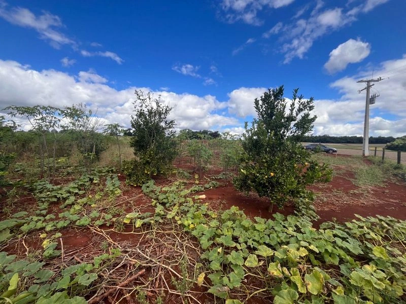 Terreno à venda por R$ 212.000 - Km 5 - Santa Rosa/Rio Grande do Sul — foto 5 de 8
