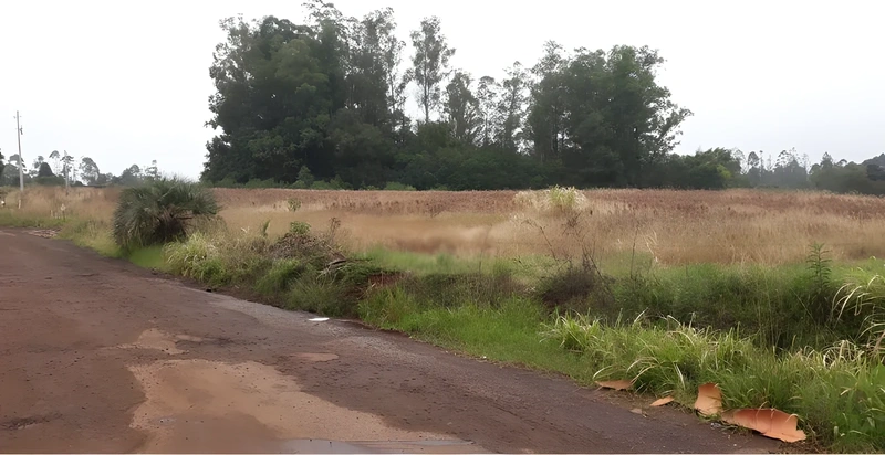 Terreno na Auxiliadora, 3330 m² em Santa Rosa