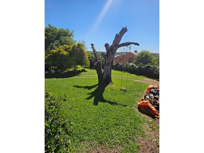 Terreno no Centro de Santa Rosa, 500 m² — foto 5